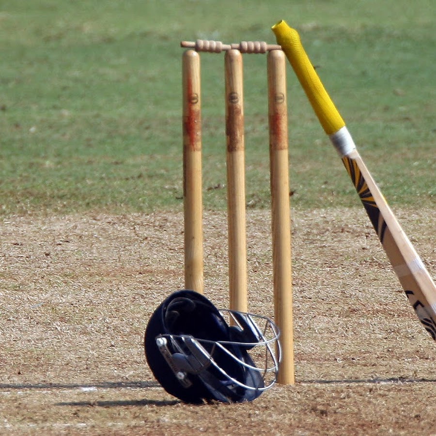 7 Factor to Considering while Buying the Cricket Bats